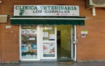 CLINICA VETERINARIA LOS CORRALES