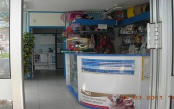 CLINICA VETERINARIA PORTACOELI
