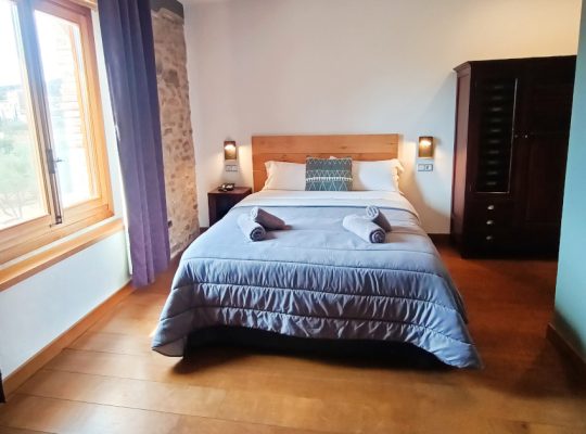 HOTEL MOLI DE LA TORRE