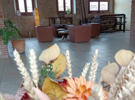 HOTEL MOLI DE LA TORRE