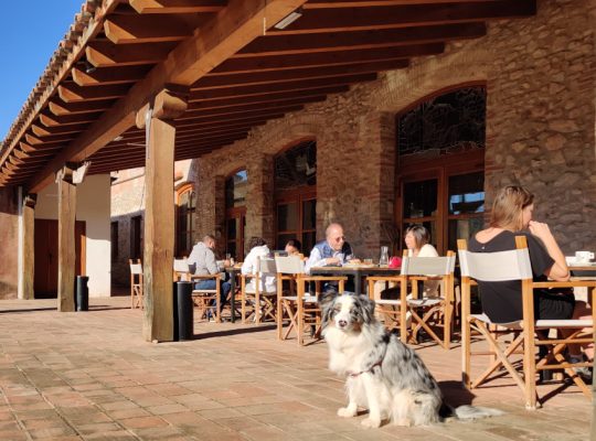 HOTEL MOLI DE LA TORRE