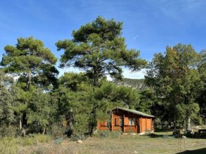 EL LLANO DE LOS CONEJOS
