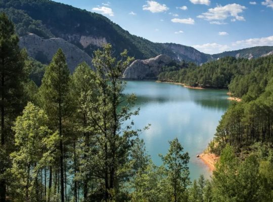 EL LLANO DE LOS CONEJOS