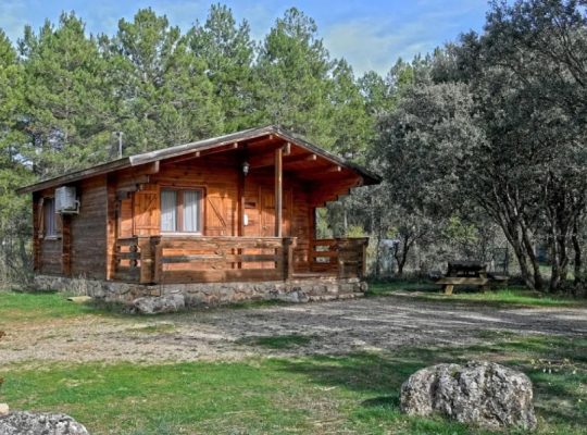 EL LLANO DE LOS CONEJOS