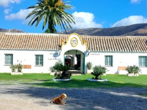 CORTIJO LAS PIÑAS