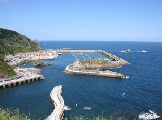 EL REGUEIRIN