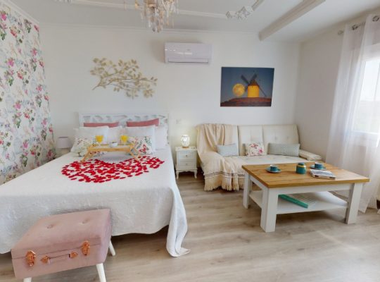 APARTAMENTOS ONCEMOLINOS