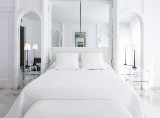 SUITES ALBAYZIN DEL MAR