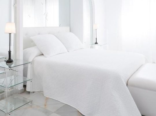 SUITES ALBAYZIN DEL MAR