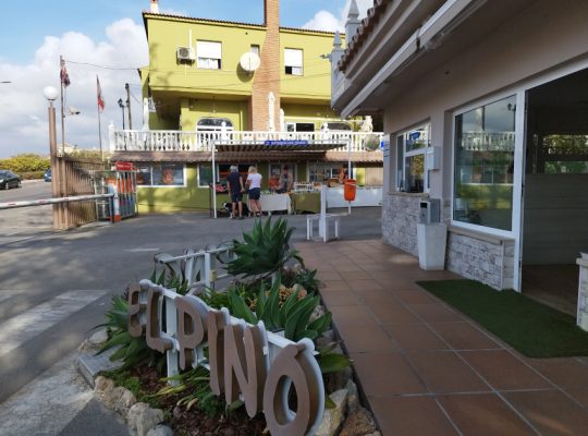 CAMPING EL PINO