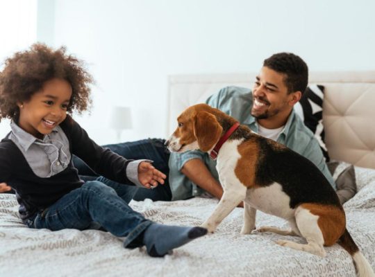 CITADINES RAMBLAS BARCELONA