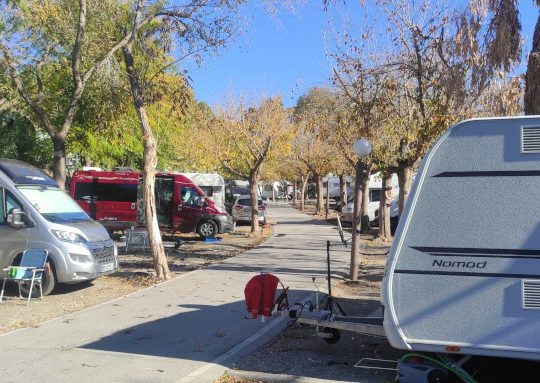 CAMPING EL PINO