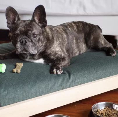 SERCOTEL AYALA BILBAO