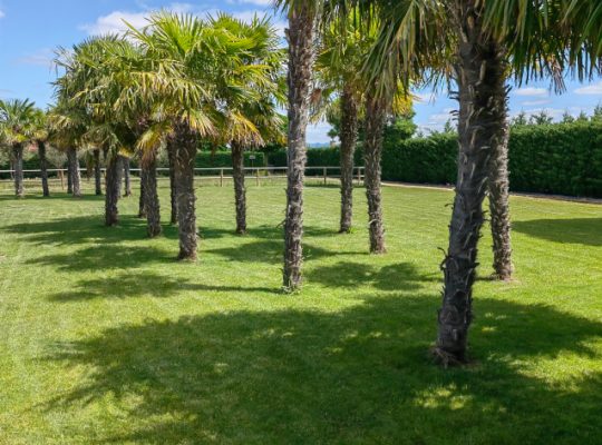 NATURA RESORTS