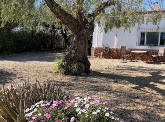 FINCA ARBOLEDA