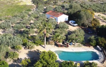 FINCA ARBOLEDA