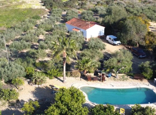 FINCA ARBOLEDA